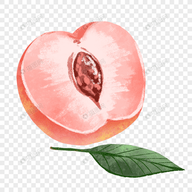 中文X站下载官方版APP应用
