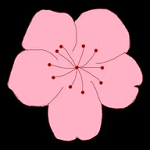 9·1安装免费版APP应用
